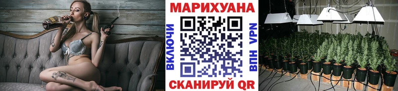 Шишки марихуана Bruce Banner  Артёмовск 